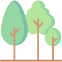 Three trees of various heights, shapes and shades of green