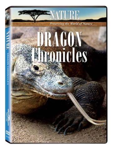 The Dragon Chronicles cover art