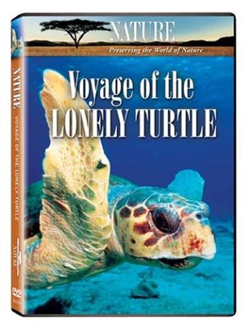 Voyage of the Lonely Turtle cover art