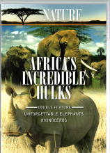 Africa's Incredible Hulks cover art